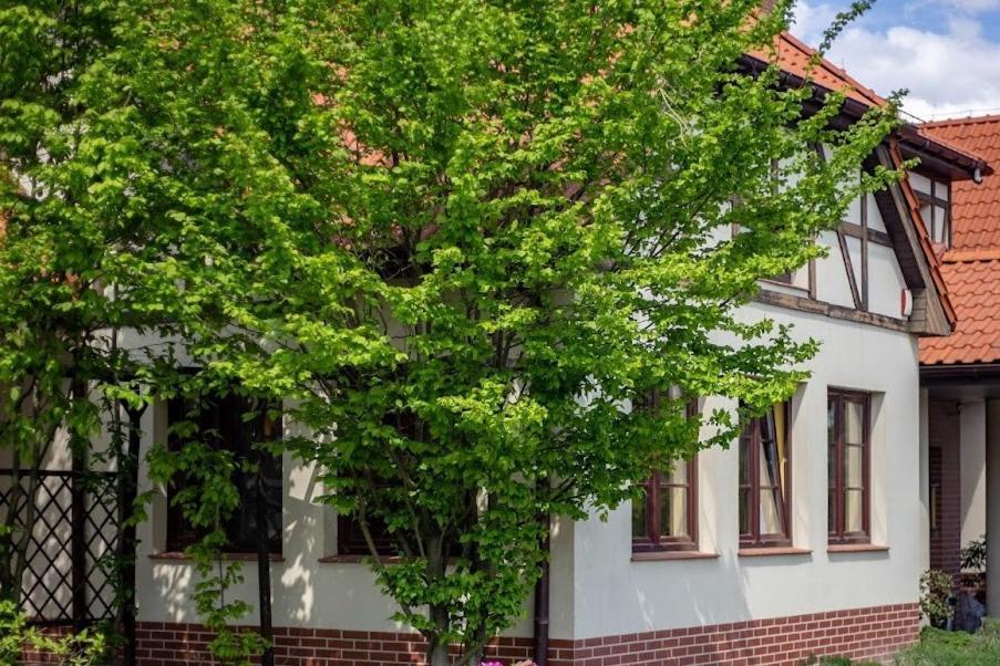 芭芭拉别墅酒店 Oborniki Śląskie 外观 照片